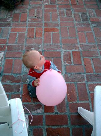 Atticus with a balloon.jpg 28.6K